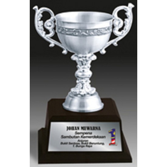 Pewter Award Trophy - APA7208