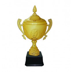 Imported Cup Trophy - ART96120