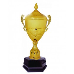 Imported Cup Trophy - ART96148