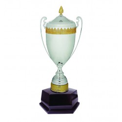Imported Cup Trophy - ART96305