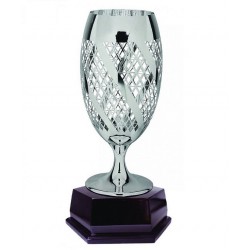 Imported Trophy Cup - ART96326(S) 
