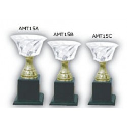 Acrylic Trophy - AMT15