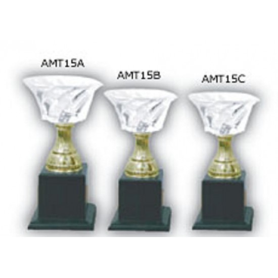 Acrylic Trophy - AMT15