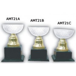 Acrylic Trophy - AMT21