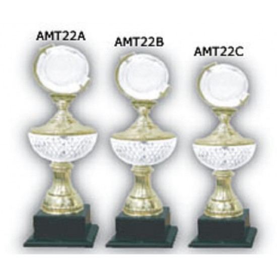 Acrylic Trophy - AMT22