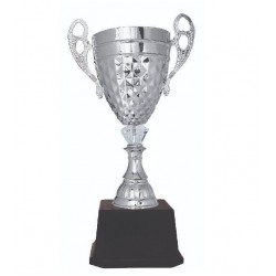 Imported Trophy Cup - BW108G