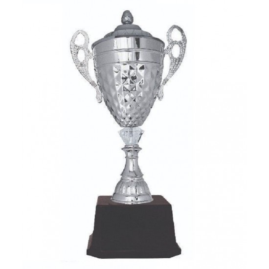 Imported Trophy Cup - BW108CV G