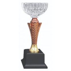 Acrylic Trophy - AMT78