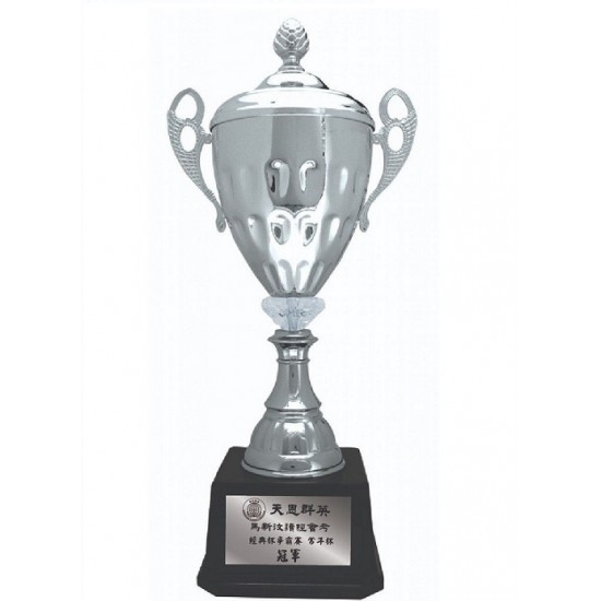 Imported Trophy Cup - BW082CV