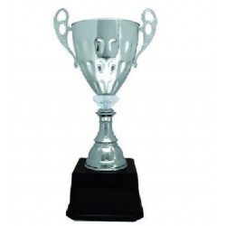 Imported Trophy Cup - BW082