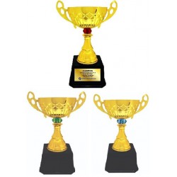 Imported Trophy Cup - BW084 