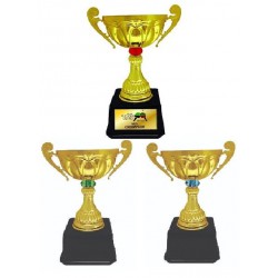 Imported Trophy Cup - BW087