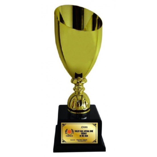 Imported Trophy Cup - BW094