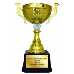 Imported Trophy Cup - BW117