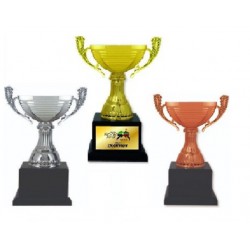 Imported Trophy Cup - BW131
