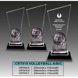 Crystal Trophy Volleyball - CRT919