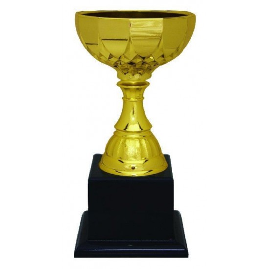 Plastic Makeup Trophy - PMT160