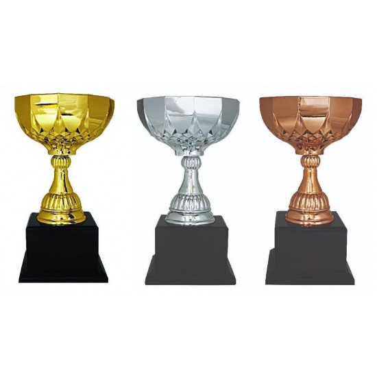 Plastic Makeup Trophy - PMT163 Plastic Makeup Trophy - PMT163