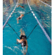 Swim Trainer - StrechCordz Stationary S121 ZP