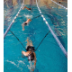 Swim Trainer - StrechCordz Stationary S121 ZP Swim Trainer - StrechCordz Stationary S121 ZP