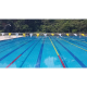 Backstroke Flags (Bunting) - FINIS Mirror Fabric ZP Backstroke Flags (Bunting) - FINIS Mirror Fabric ZP