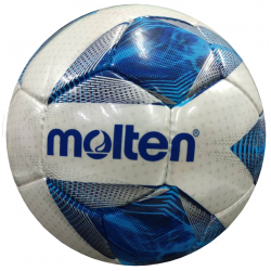 Football Size 5 - Molten F5A4800 FIFA Pro